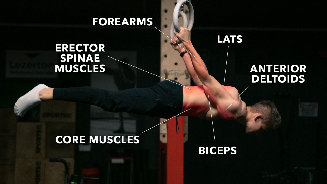 _New Intermediate Skill Element Back Lever [154577] Calisthenics